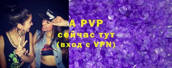 спиды Нефтекумск